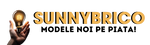 SunnyBrico